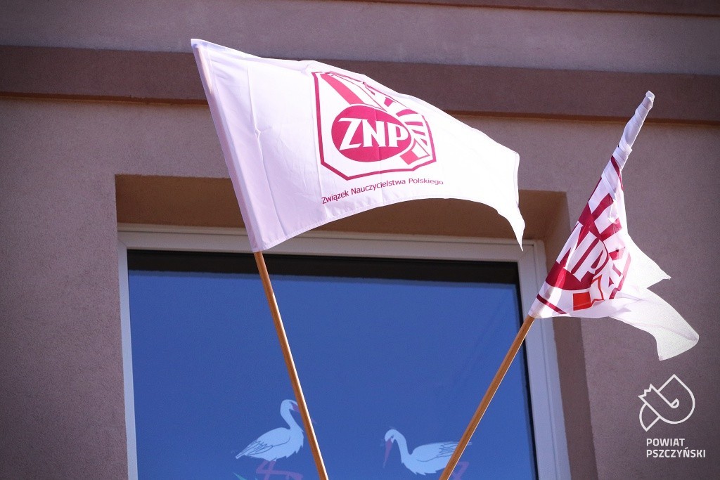 znp