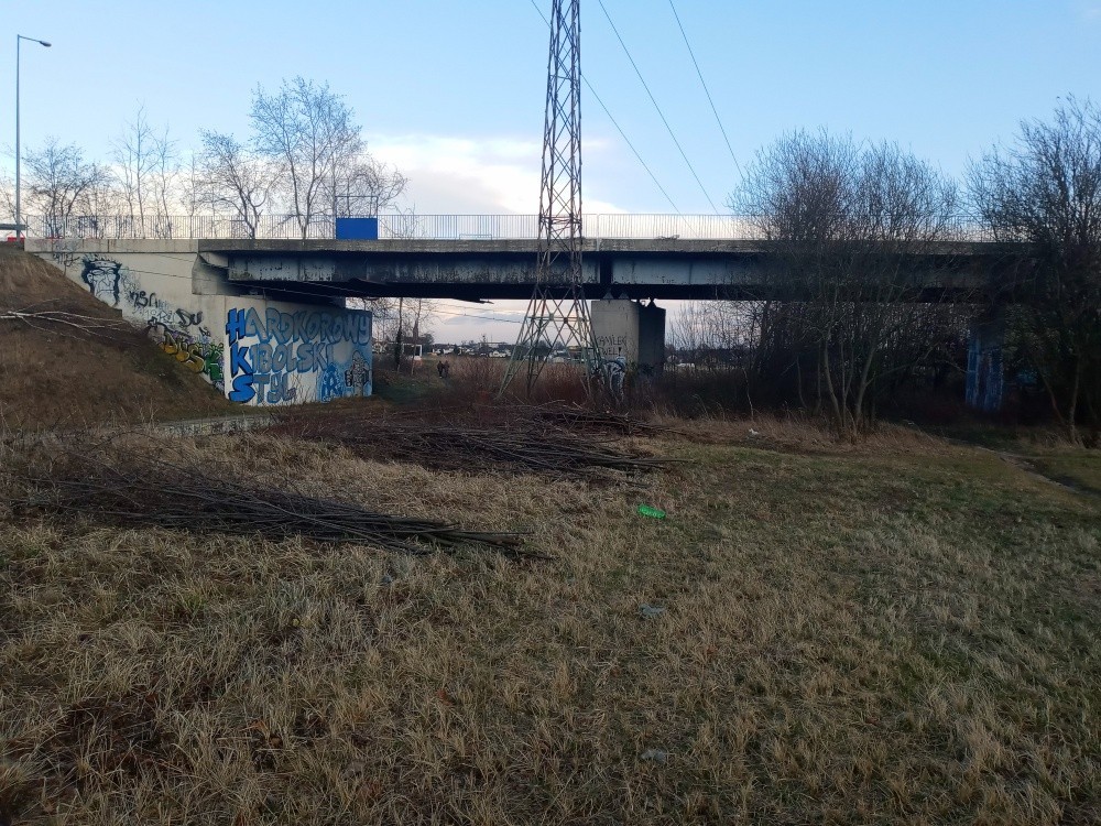 Obiekt mostowy w Suszcu