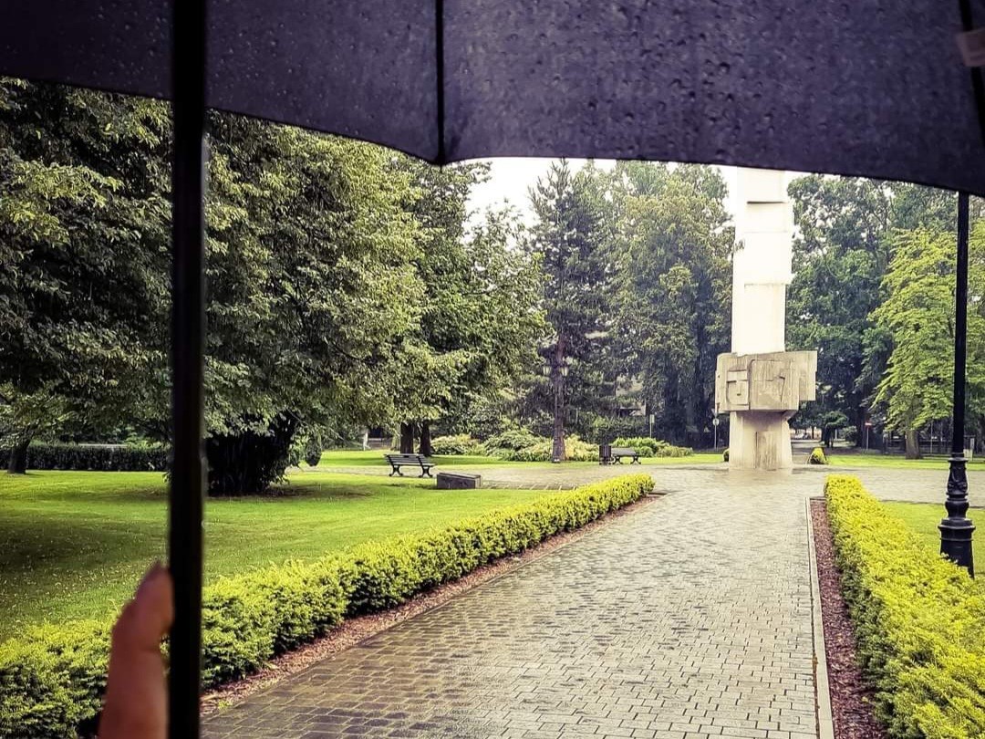 Plac Zwycięstwa i Wolności w Pszczynie, ręka trzymająca parasolkę. Pada deszcz.