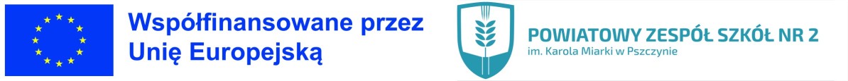 Logo PZS nr 2 oraz Unii Europejskiej